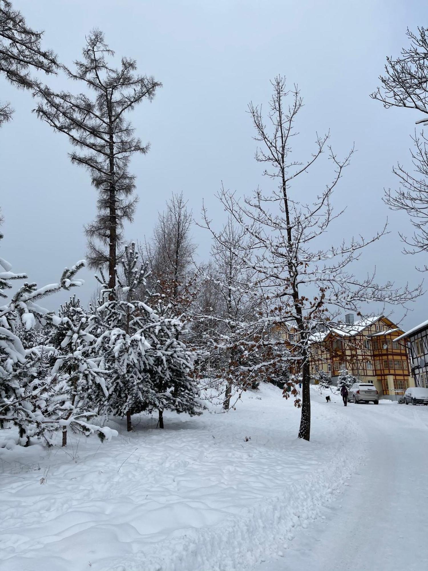 Vila Mudron Vysoké Tatry エクステリア 写真